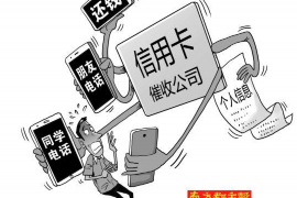 宜都为什么选择专业追讨公司来处理您的债务纠纷？